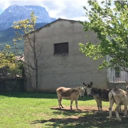 Duplex La Valle Ordesa-ainsa Semesterbostad Laspuña